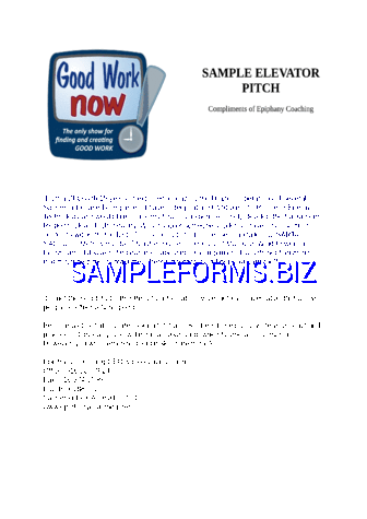 Elevator Pitch Examples 1